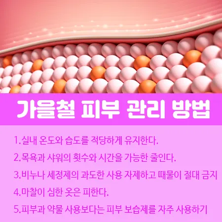 가을철 피부 관리