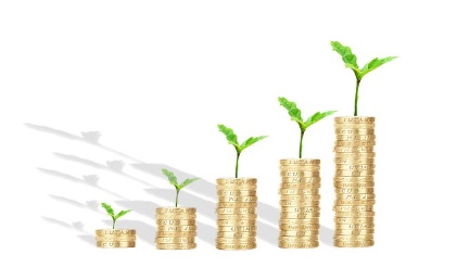 화재로 인한 정부 24 대체 사이트, 정부 대체 사이트