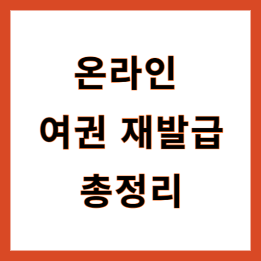 온라인 여권 재발급