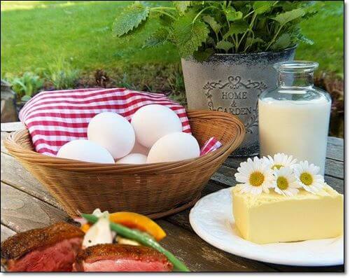 달걀과 유제품