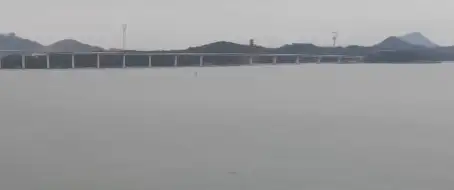 달리도