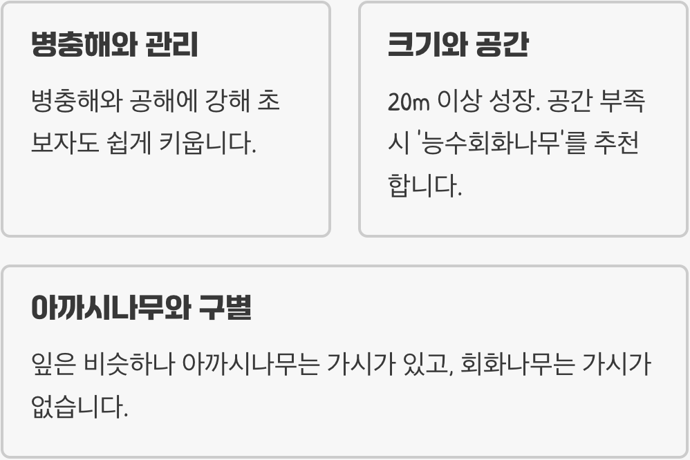 전원주택 정원수로 회화나무 키우기 A to Z (묘목 고르는 법부터 가지치기까지)