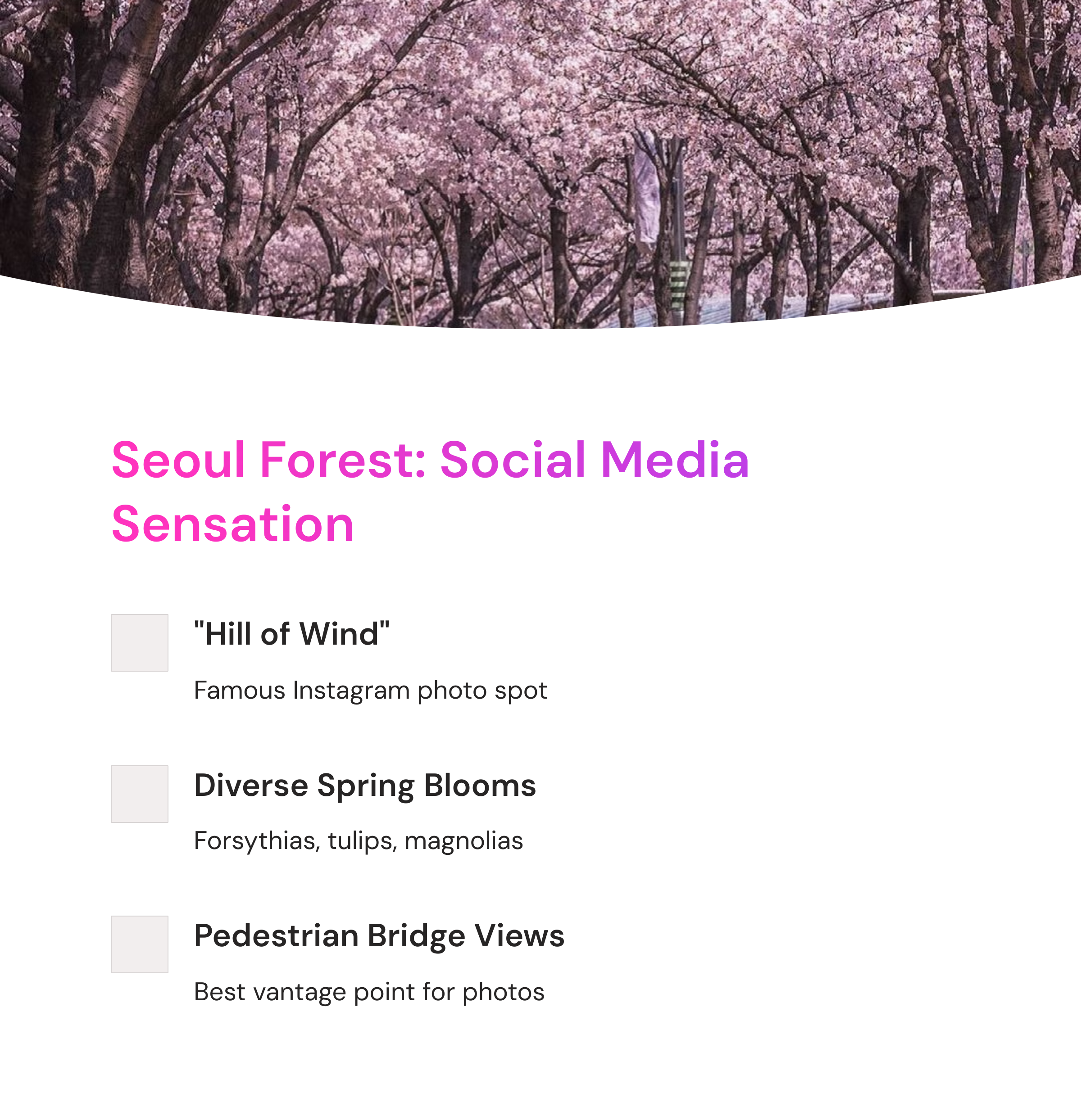 2025 Seoul Cherry Blossom Top 10 Complete Guide - From Instagram Hotspots to Hidden Gems