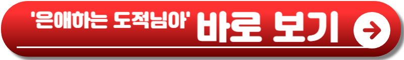 은애하는 도적님아