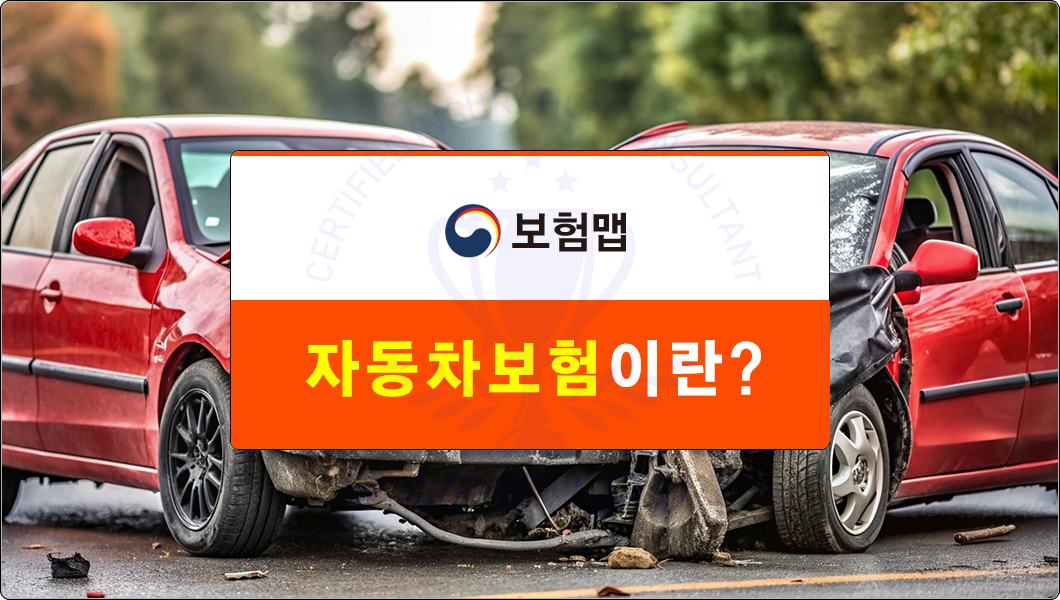 자동차보험