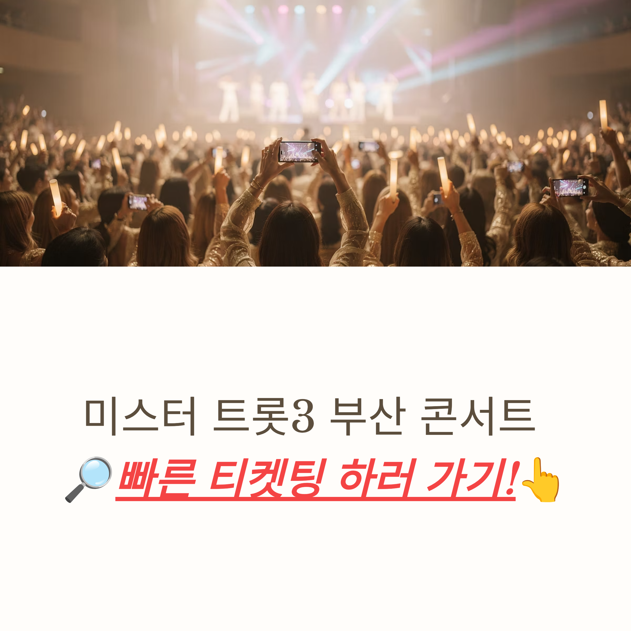 미스터 트롯3 콘서트 일정
