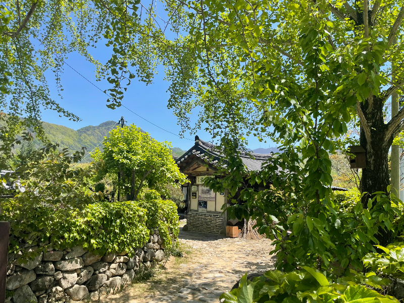 군위 남촌고택 04