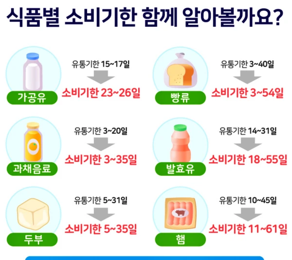 식품별 유통기한 대비 소비기한