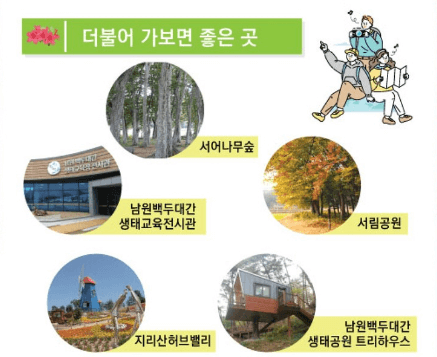 바래봉 철쭉 축제