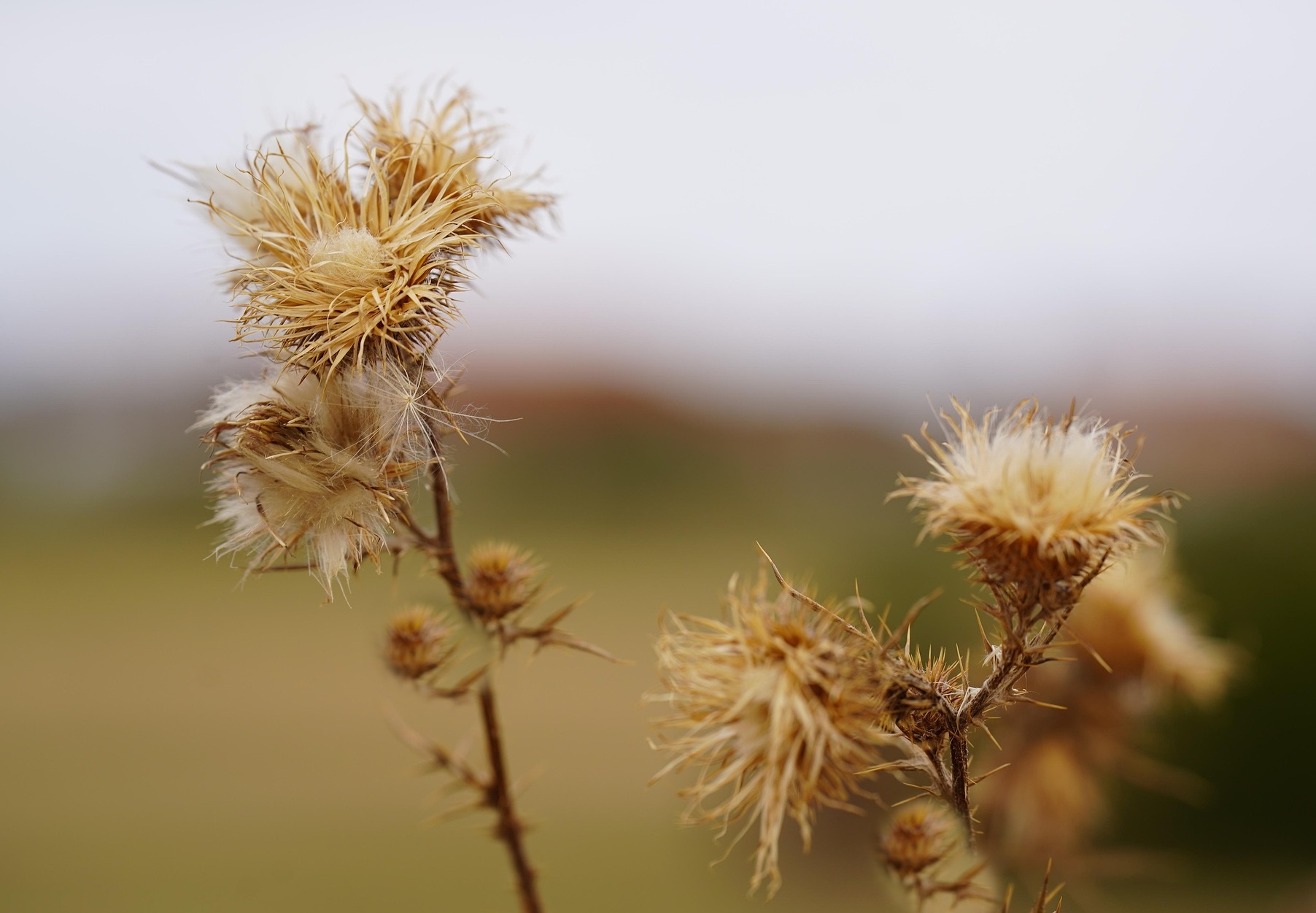 기후 재난은 ‘이사’가 아니라 ‘탈출’을 만든다
