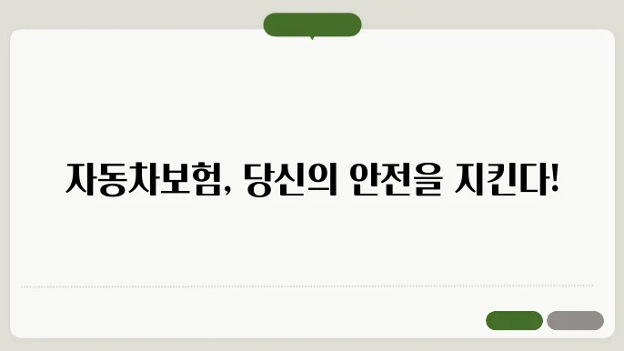 자동차보험 보상범위