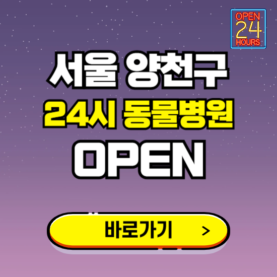 서울 양천구 24시 동물병원 진료하는 곳 ❘ 설날 휴일 야간 심야 문여는곳 찾기 ❘ 응급진료