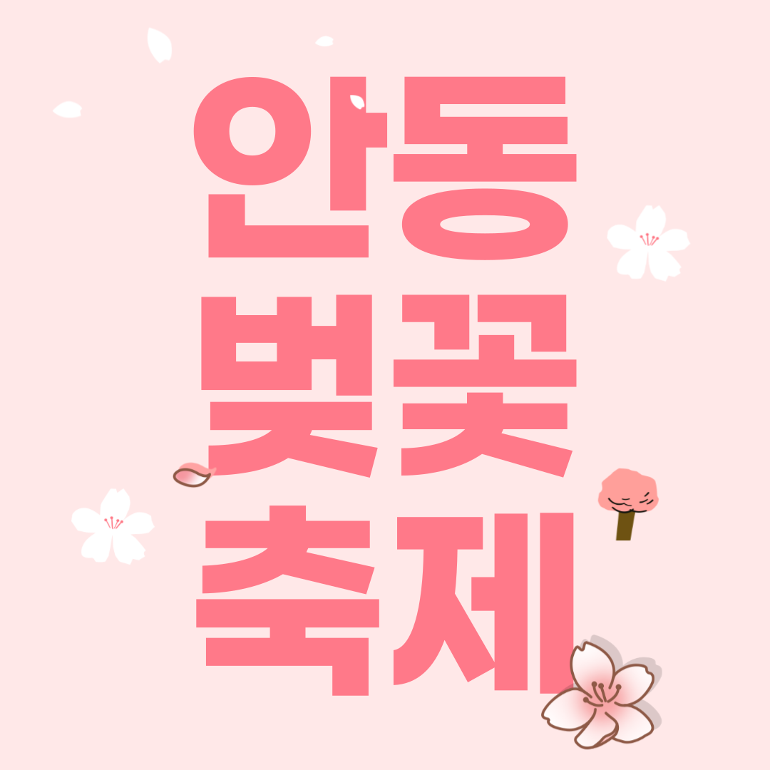 안동 벚꽃 축제