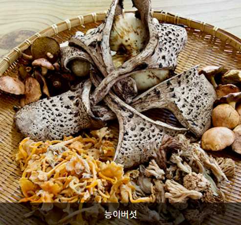 곡성장미축제