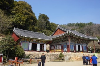 6시 내고향 강진맛집 석문정