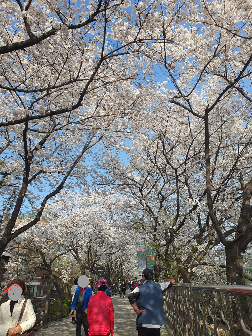 신대방역 근처 벚꽃길
