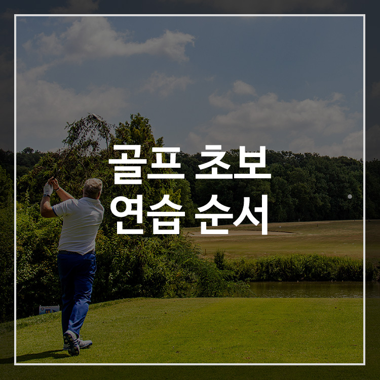 골프 초보의 연습 순서 및 그립, 드라이버 배우는 과정 알아보기