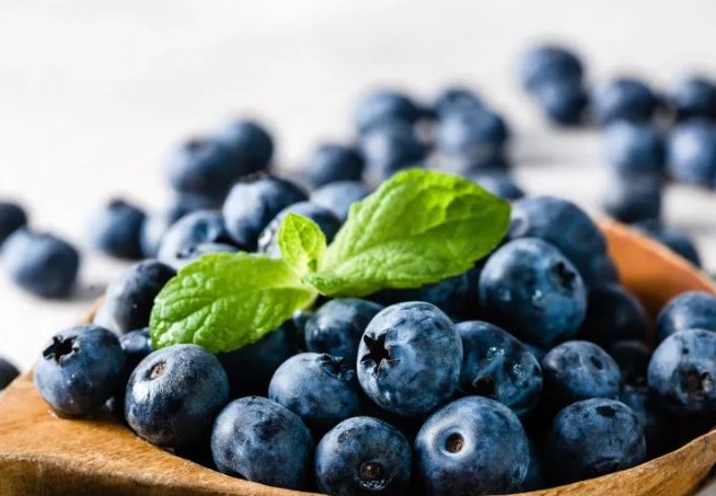 블루베리 효능 부작용