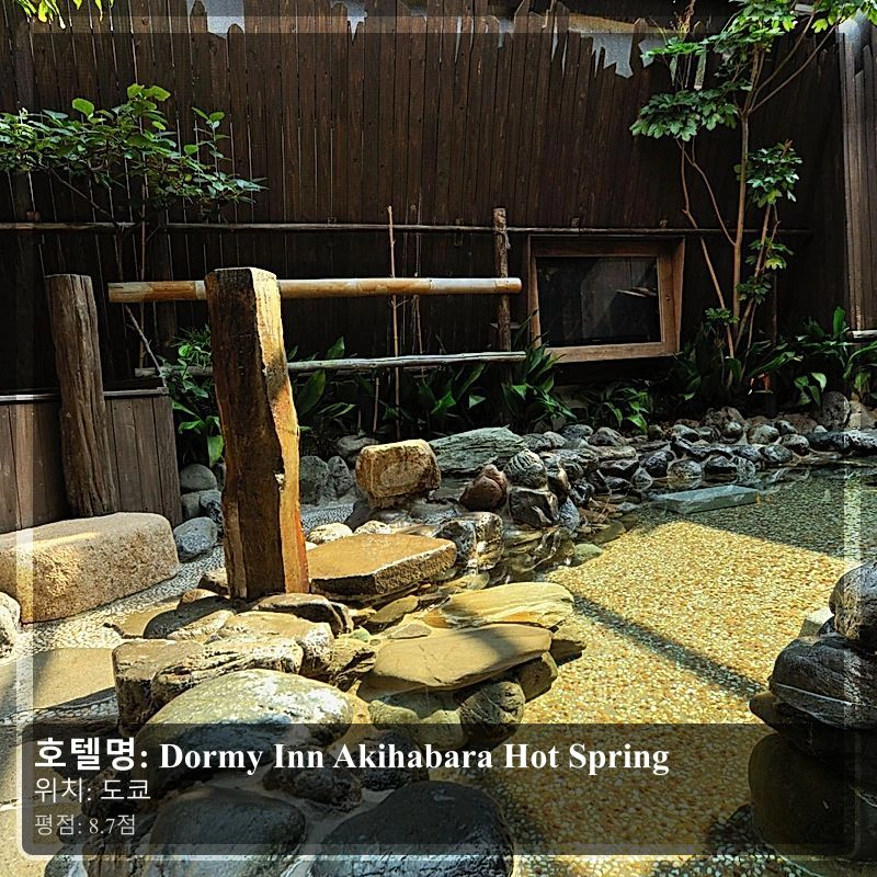 Dormy Inn Akihabara Hot Spring_7