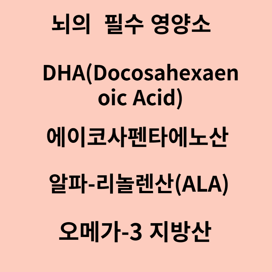 뇌의 필수 영양소,DHA,오메가-3,인지기능,심혈관계,혈관기능,눈의 망막,,관절건강,DHA 보충제,