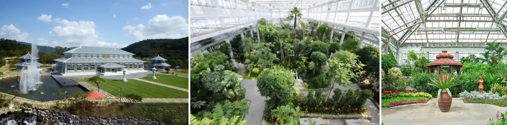 동궁원 식물원 사진