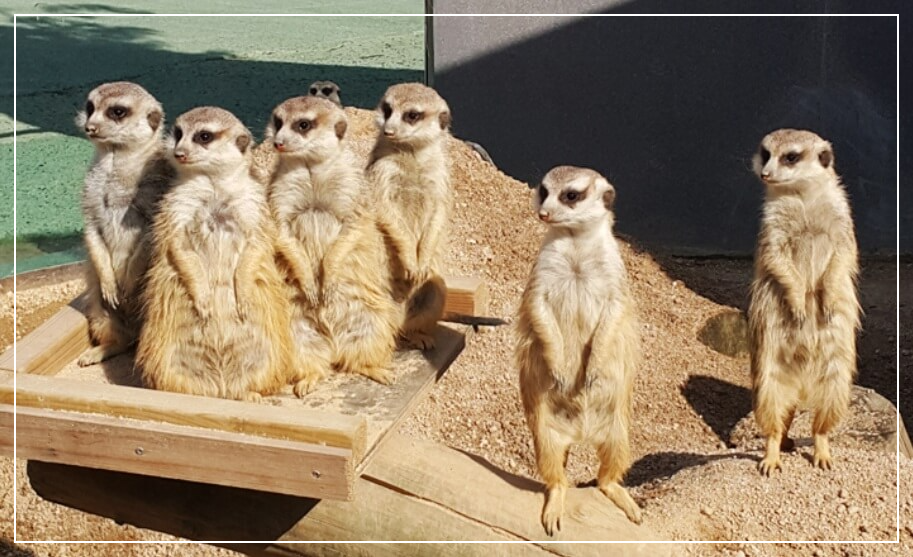 울산 가볼만한곳 베스트10 울산대공원