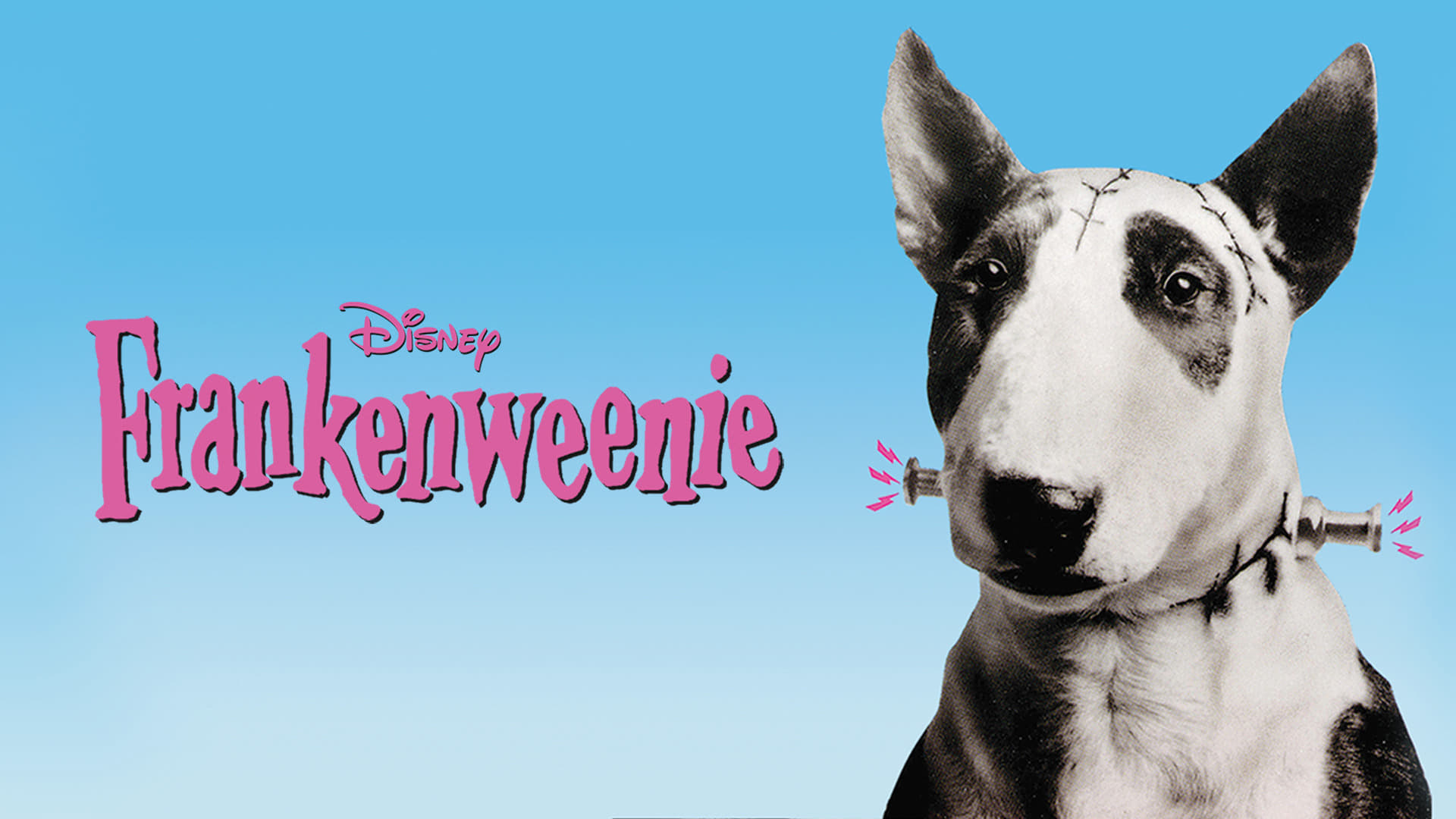 프랑켄위니(Frankenweenie, 1984)