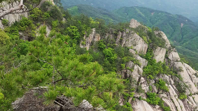 도락산 등산코스