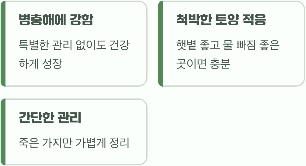 초보자도 문제없는 강인함