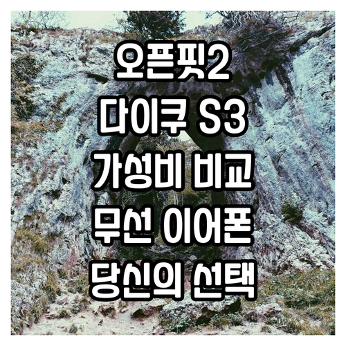 샥즈 오픈핏2 vs DAICOO S3..