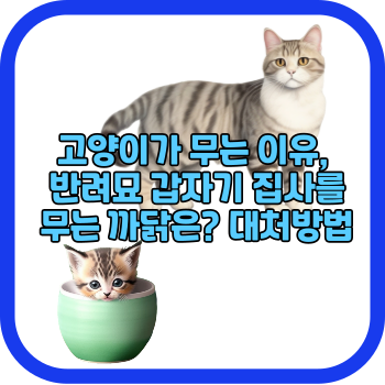 고양이가 무는 이유, 반려묘 갑자기 집사를 무는 까닭은? 대처방법