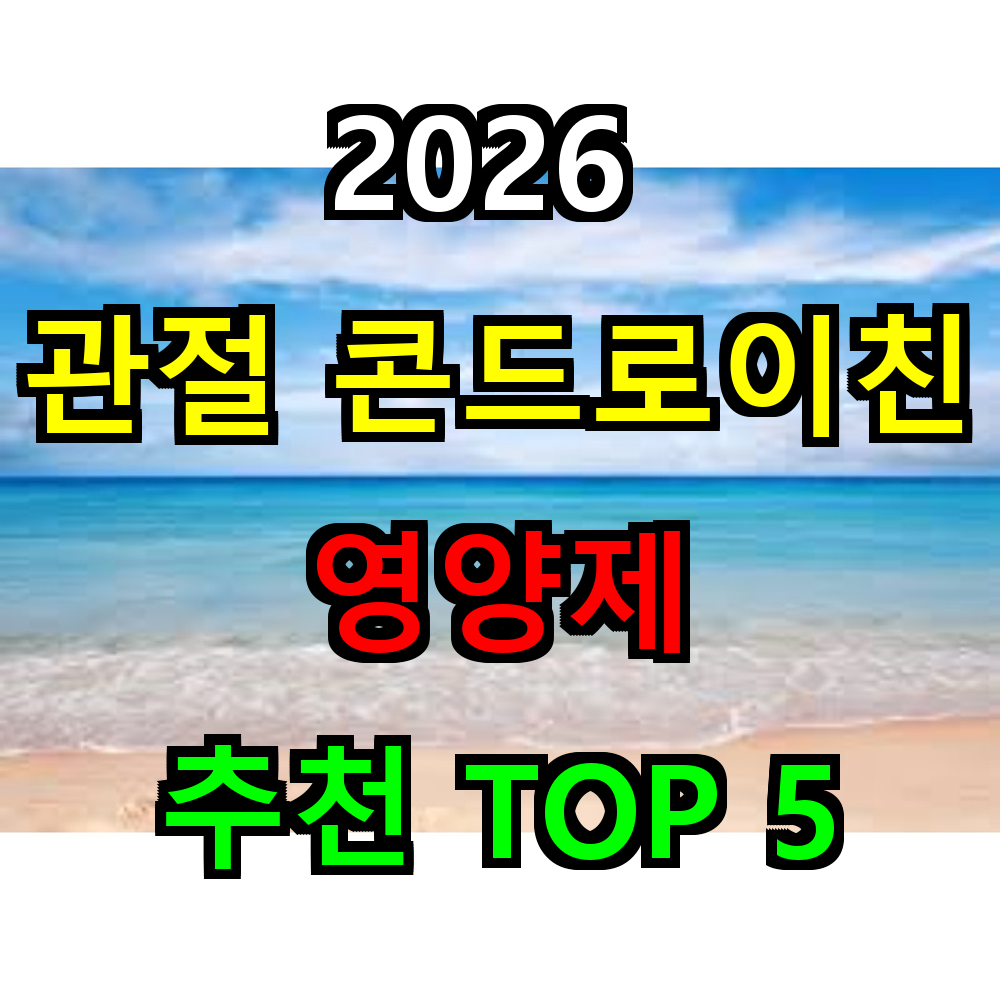 2026 관절 콘드로이친 영양제 추천 TOP 5