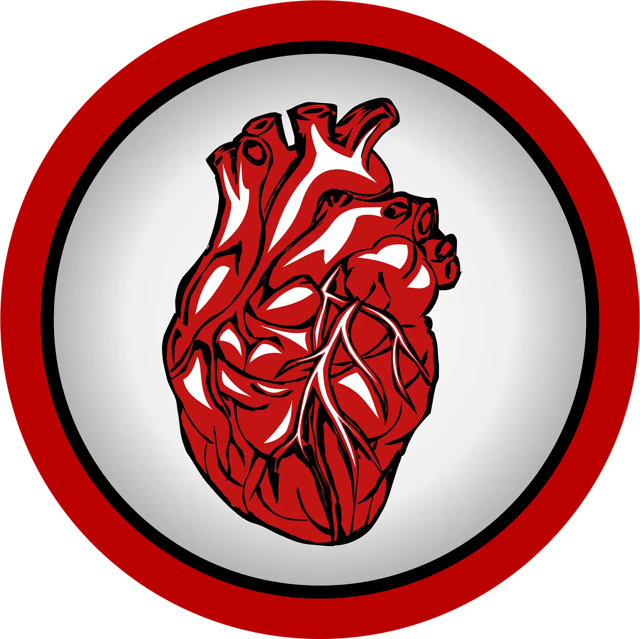 경동맥 초음파 검사비용