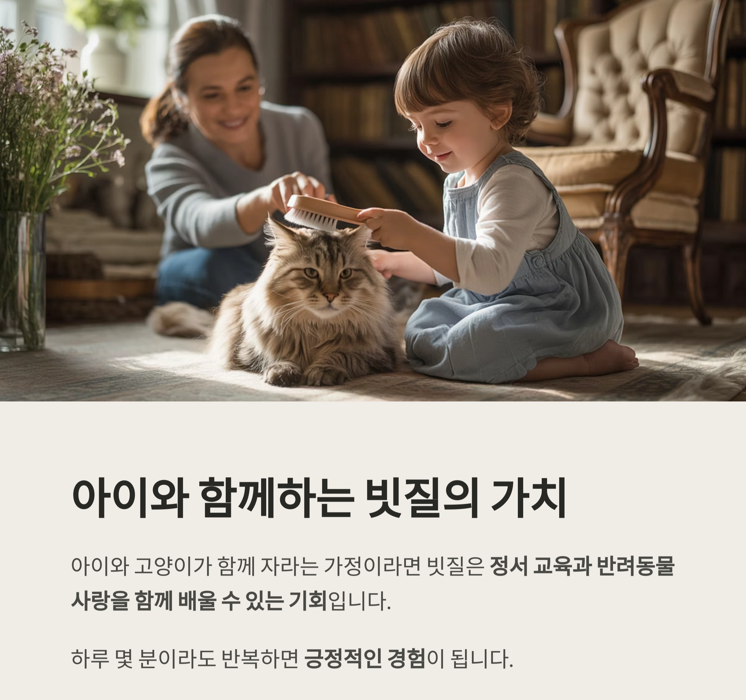 매일 빗질 : 고양이 털 빠짐을 막는 가장 쉬운 방법