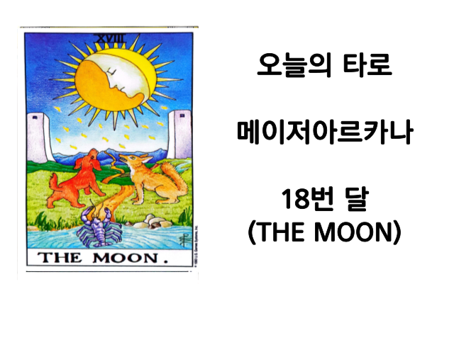 메이저아르카나18번.달(THE MOON)타로카드해석