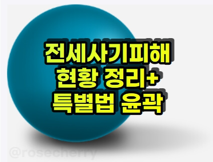 전세사기피해유형별-전세사기피해자-입장-국가입장-특별법-윤곽안내
