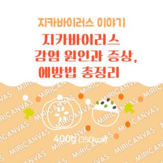 지카바이러스 감염원인과 증상, 예방법 총정리 로고