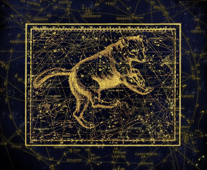 작은곰자리 별자리