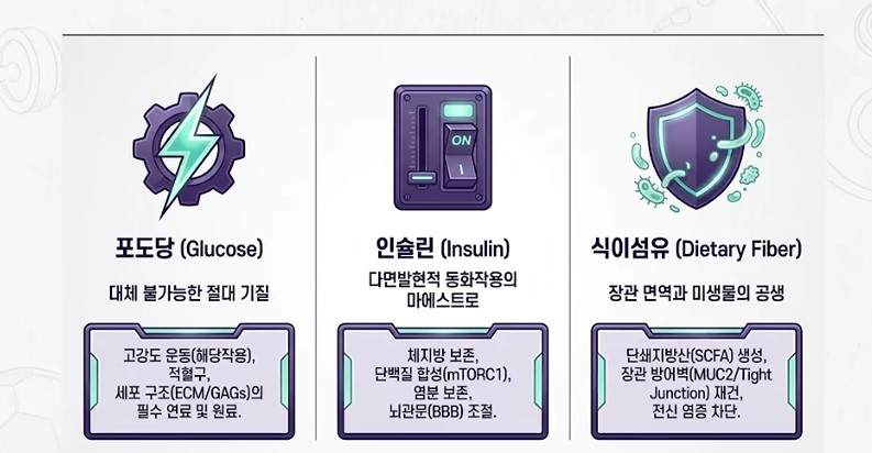 탄수화물을 먹어야하는 세가지 이유