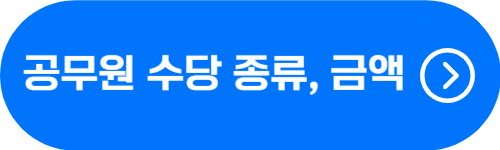 공무원 수당 종류 및 금액 확인 버튼