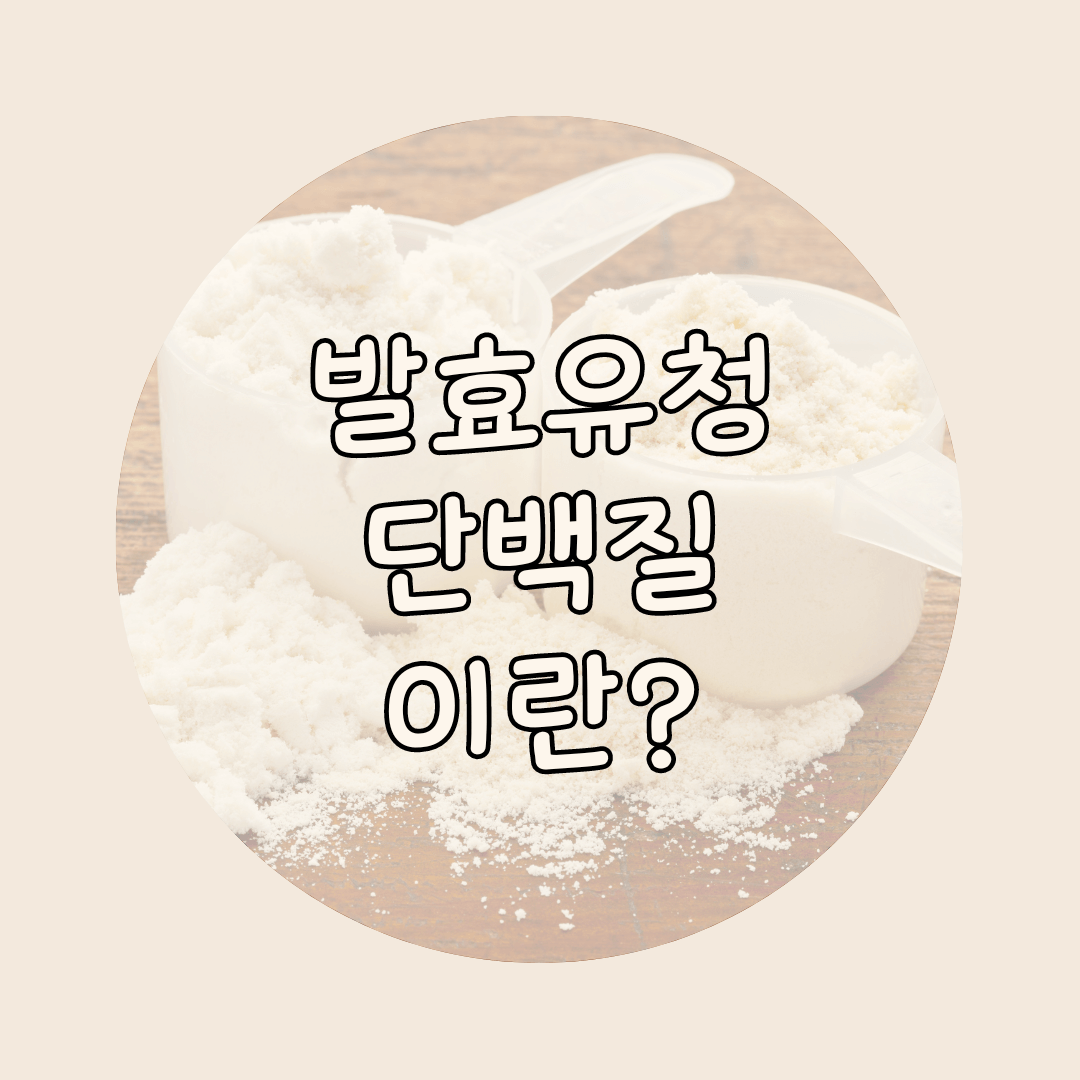 발효유청단백질이란?