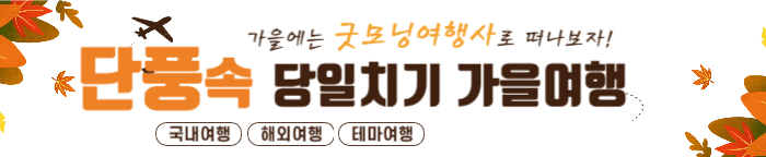 굿모닝여행사 홈페이지 당일여행