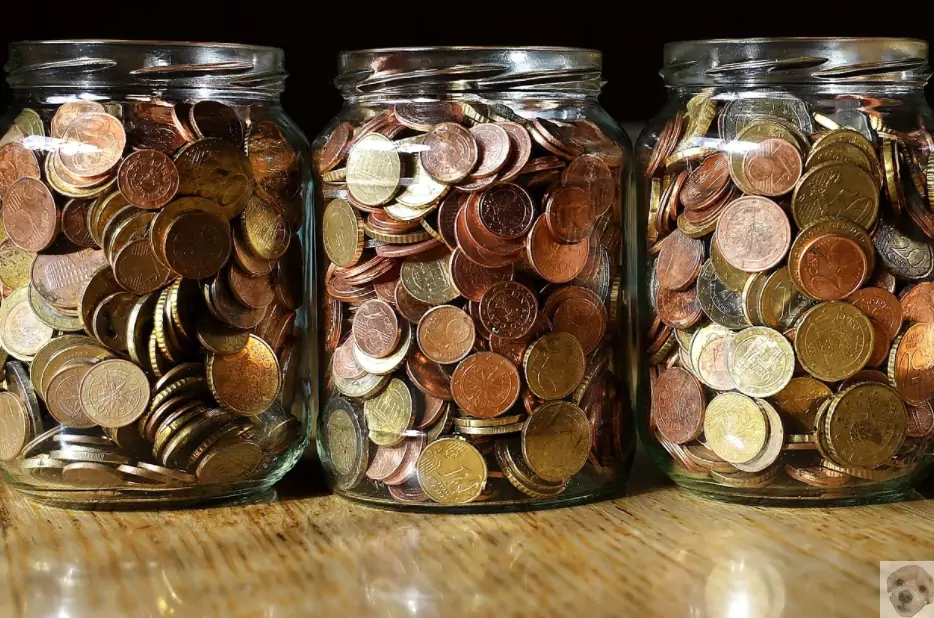 IRP 개인연금저축은 퇴직 후에 받을 돈을 미리 쌓아놓는 것이다