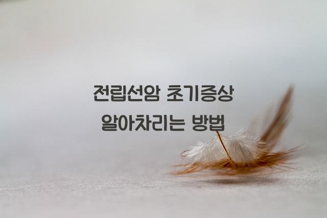 전립선암 초기증상