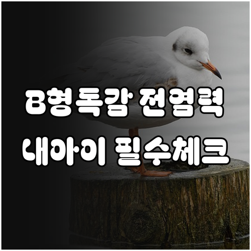 B형 독감 전염력과 예방 수칙 및 궁..