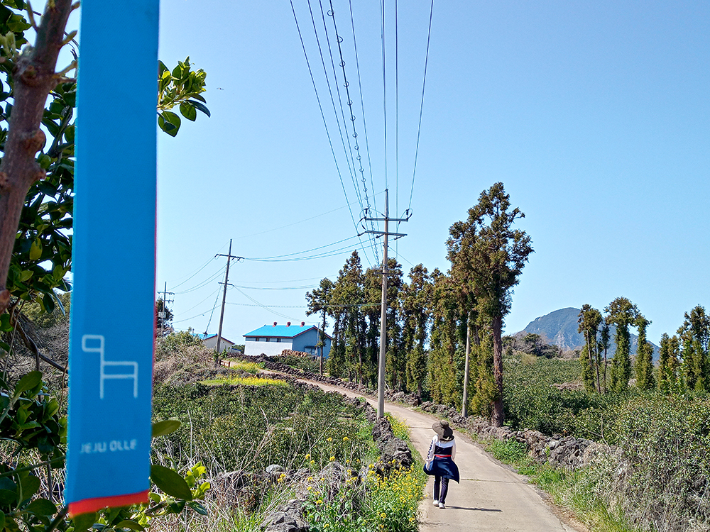 올레9코스: 가세기 마을올레