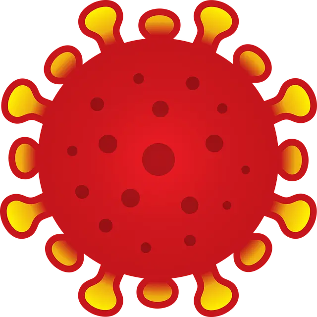 혈액형과 면역 반응의 관계&mdash; 혈액형은 단순한 분류가 아니라, 면역학적 정체성을 말해준다 &mdash;