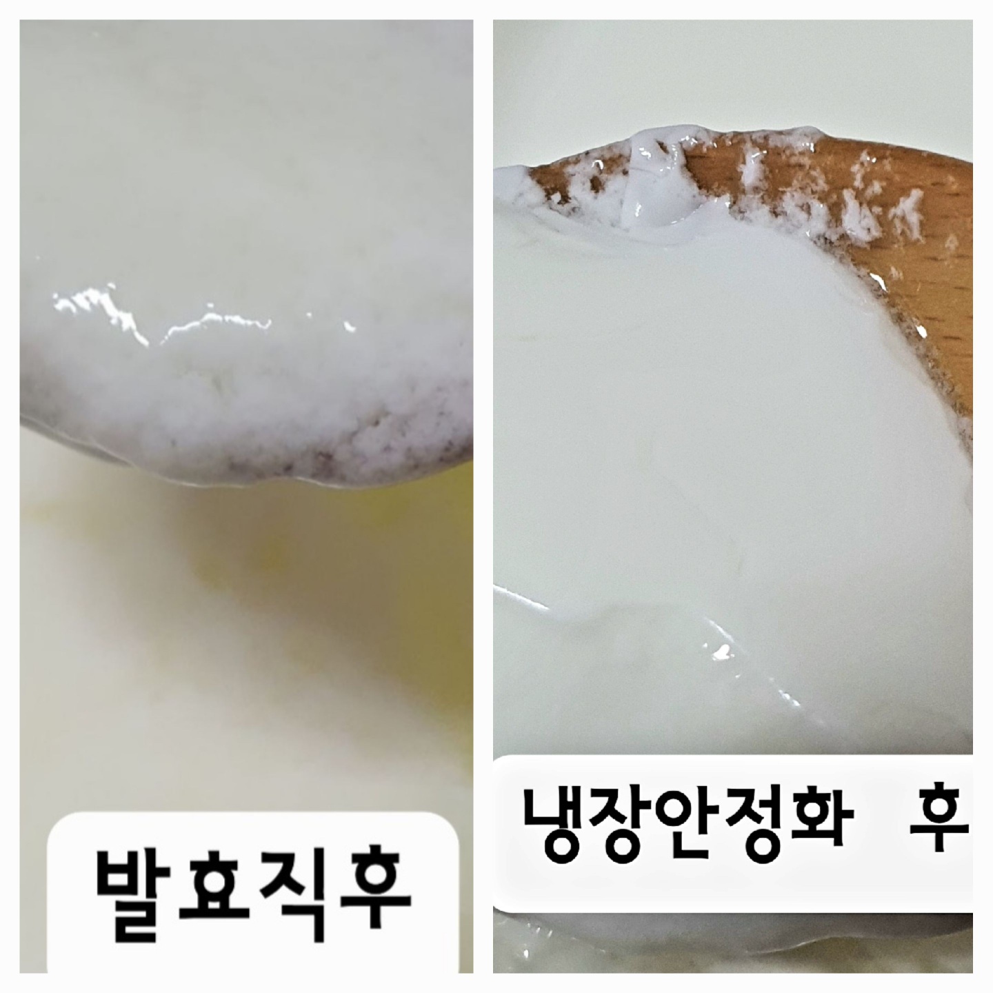 발효직후 풀어져 있던 조직이 냉장후 뭉쳐진 모습