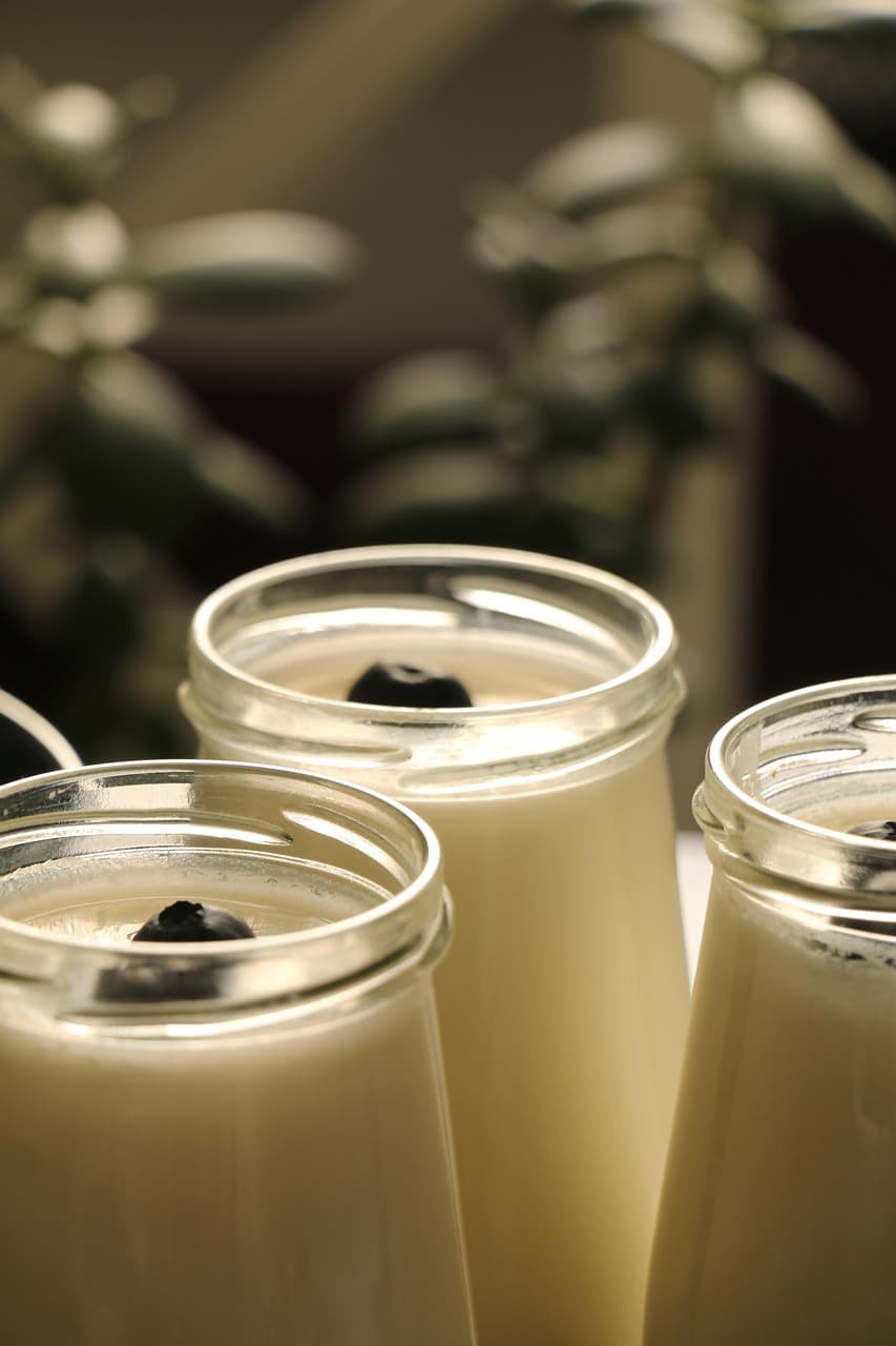 갱년기 증상과 원인-유산균: 자연스럽게 극복하는 건강 관리법