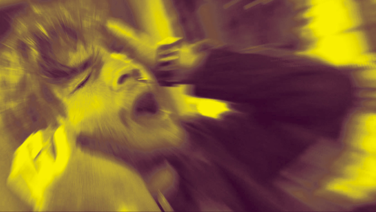 영화의 한 장면5